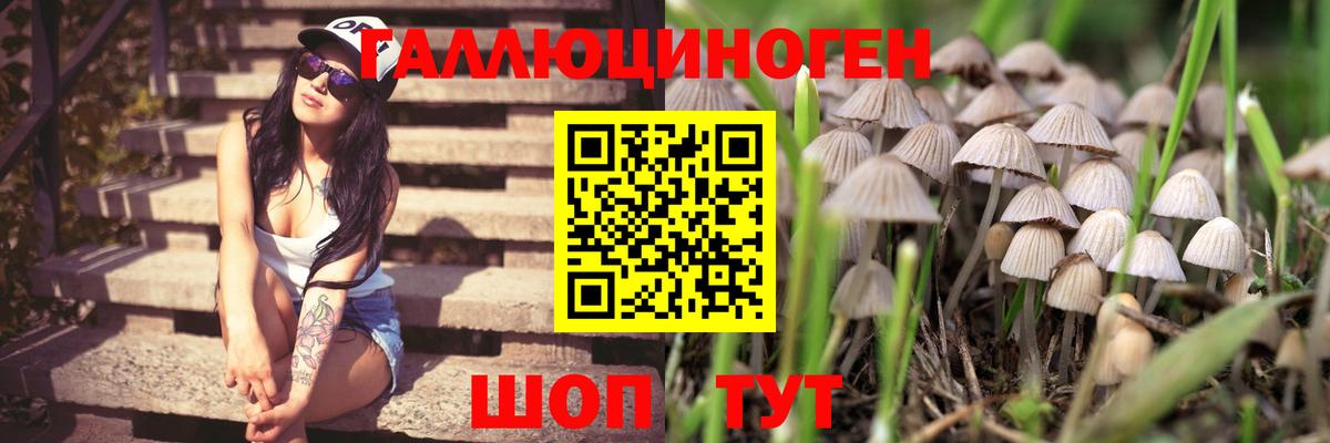 Псилоцибиновые грибы прущие грибы  Вход с VPN  Псилоцибиновые грибы GOLDEN TEACHER  Воскресенск 